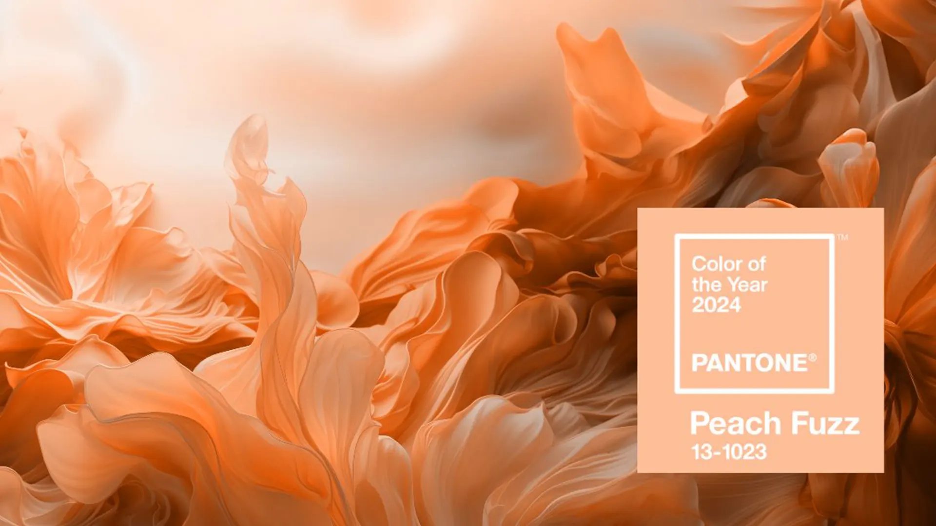 peach-fuzz-color-of-the-year-2024-pantone